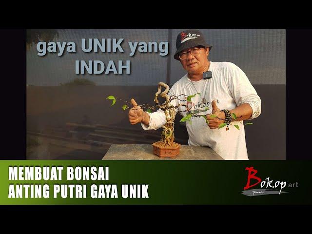 MEMBUAT BONSAI ANTING PUTRI GAYA UNIK