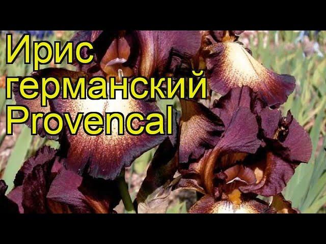 Ирис германский Провансаль. Краткий обзор, описание характеристик iris germanica Provencal