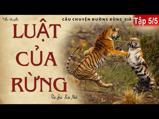 Nghe Truyện Về Các Cuộc Săn Thú Ở Rừng Già (Tập 5/5): LUẬT CỦA RỪNG | Kim Nhất | Kênh Cô Vân