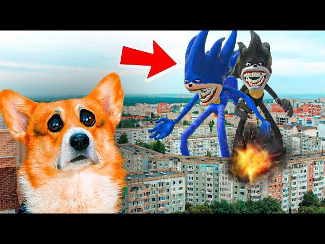 ШИН СОНИК и ШИН ШЕДОУ ПРИШЛИ ЗА НАМИ!! Shin Sonic Shin Shadow (Корги Кекс) Говорящая собака