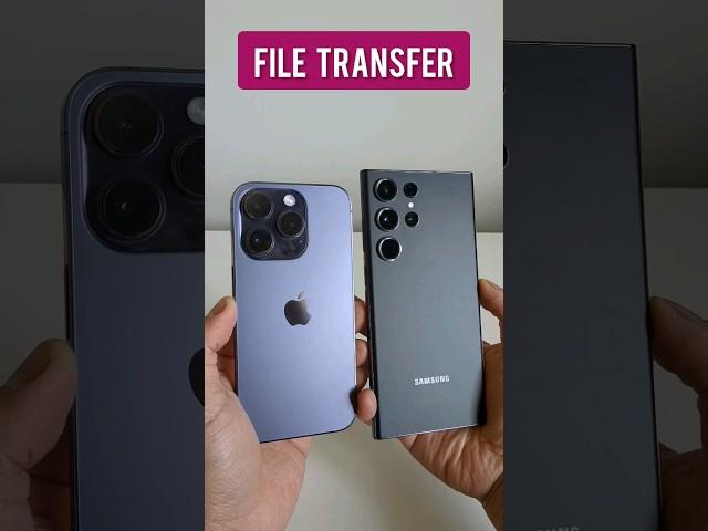 iPhone to Android file transfer! #iphone #android