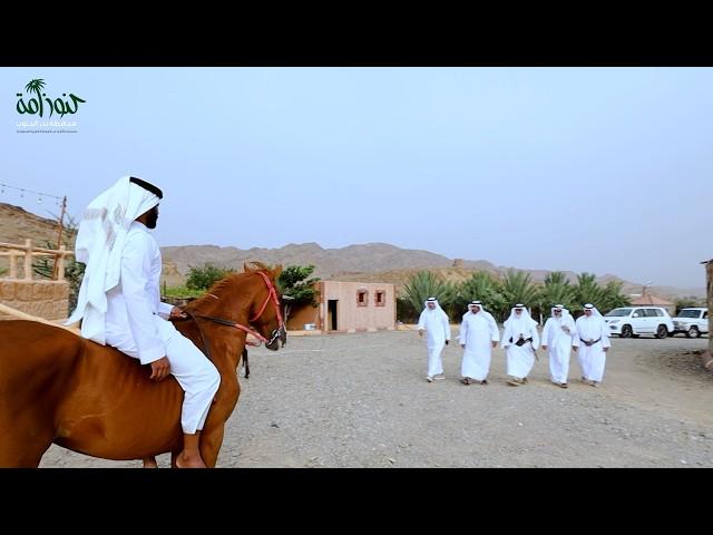 الرحاب - متحف ابن صنيج التراثي (كنوز أمة - برنامج وثائقي) نجران محافظة بدر الجنوب #السعودية #اكسبلور