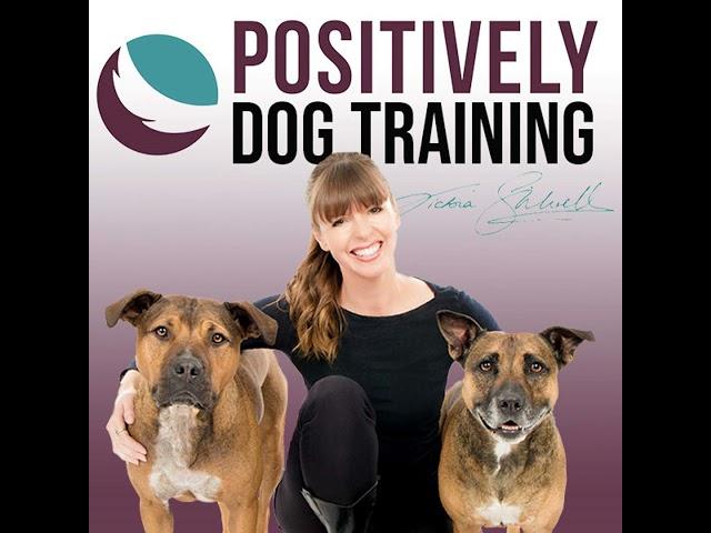 Mastering Difficult Dialogues: Communication Tips for Dog Trainers with Carmaleta Aufderheide