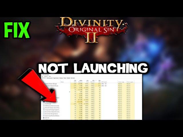 Divinity Original Sin 2  – Fix Not Launching – Complete Tutorial