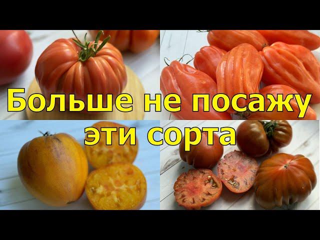 Эти томаты БОЛЬШЕ НЕ ПОСАЖУ и вам НЕ ПОСОВЕТУЮ