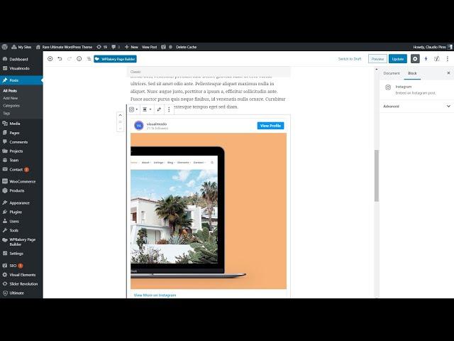 How To Embed Instagram Photos In WordPress Posts and Sidebar?