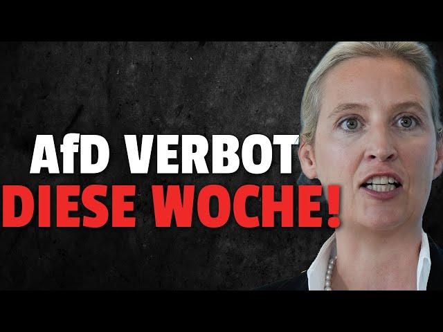 EILT: AfD VERBOT soll DIESE WOCHE durchgestochen werden