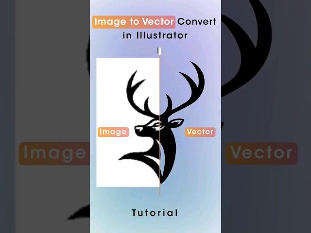 How to convert PNG to vector In illustrator #adobeillustrator #photoshop  #illustratortutorial