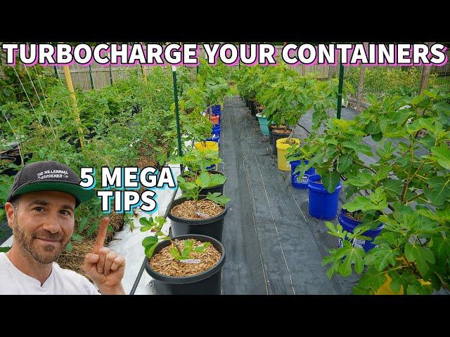 Do This NOW To Turbocharge Your Container Garden!