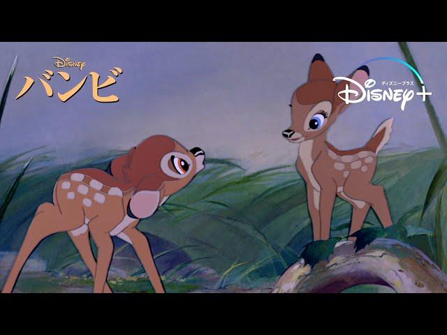 シャイなバンビとファリーンの出会い｜バンビ｜Disney+ (ディズニープラス）