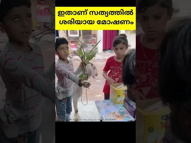 മോഷ്ടിച്ചാൽ ഇങ്ങനെ പണി കിട്ടും #goneviral #shortvideos #shorts #viral #trending #youtubeshorts #sad