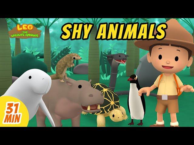 Shy Animals Videos Compilation | Leo the Wildlife Ranger | Fun Animal Show! | Kids Cartoons