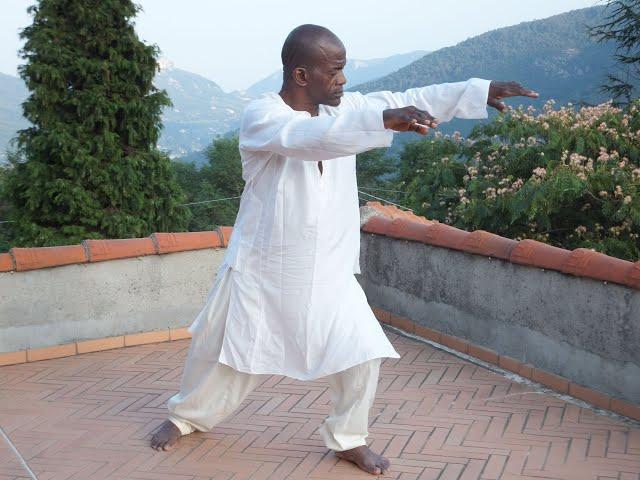 Tai Chi with Master Zi March 18, 2020