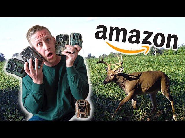 5 Cheap Trail Cams on Amazon - 2024 FULL REVIEW