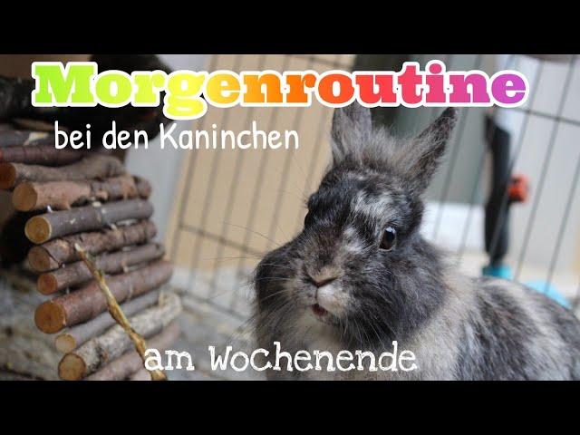 Morgenroutine am Wochenende/in den Ferien||Bunnys Diary