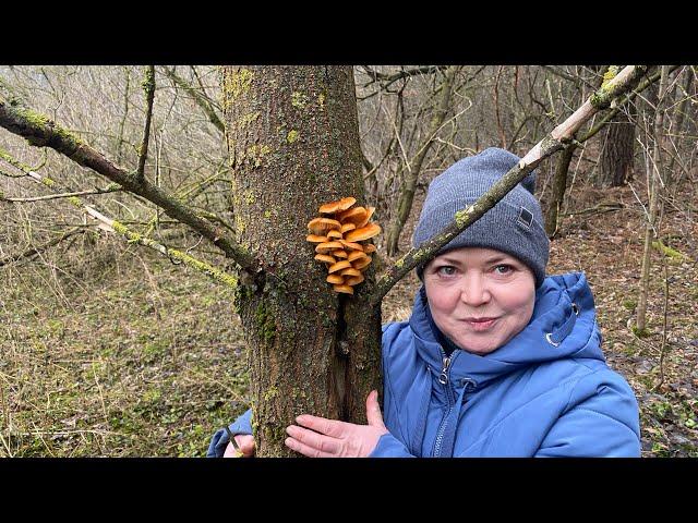 ГРИБНОЙ РАЙ! Знали что найдем, но что бы столько! Таких грибов мы ещё не видели, мечта Светланы!