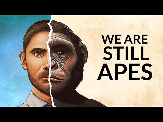 Do We Still Have Ape Brains?