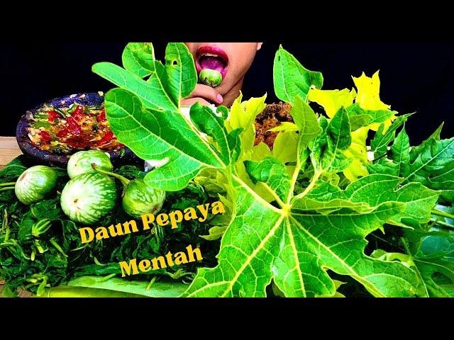 LALAPAN DAUN PEPAYA MENTAH⁉️ DAUN SINGKONG, PINDANG, TERONG BELANDA SAMBEL PAKAI NASI