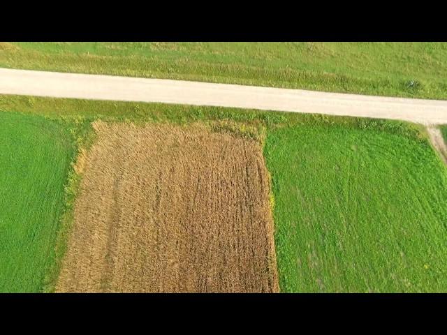 Flight Over Meadow 13 - cutestockfootage.com