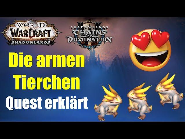 Die armen Tierchen Quest erklärt | WoW 9.1 Korthia