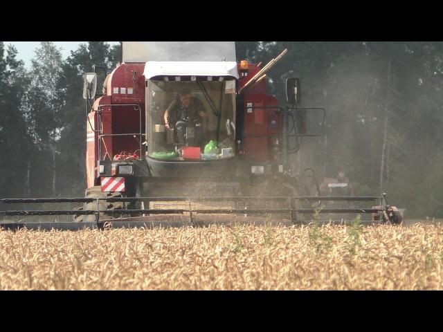 Winter wheat harvesting: PALESSE GS12 and straw baling - from field to haystack!