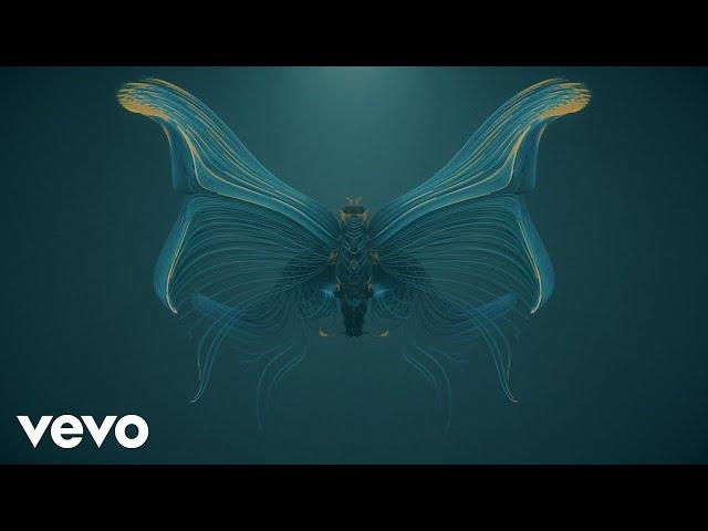 Ludovico Einaudi - Einaudi: Fly (Official Visualiser)