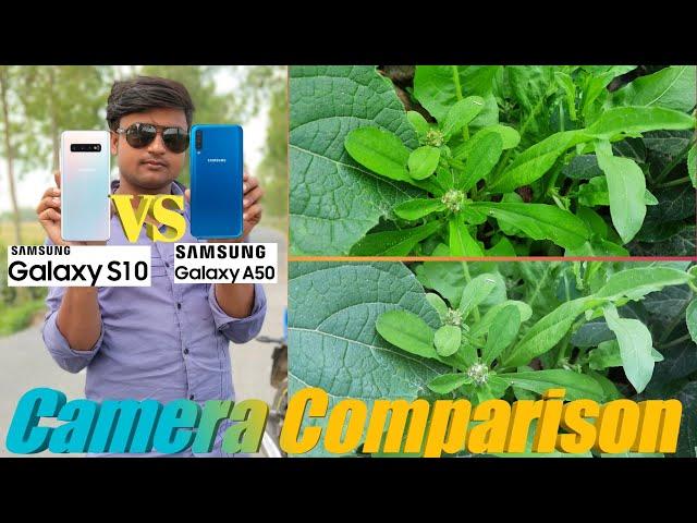 Samsung Galaxy S10 VS Samsung Galaxy A50 Camera Comparison ||