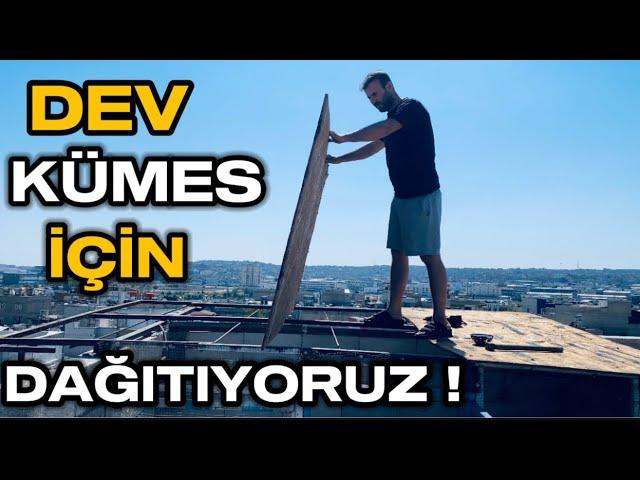 DEV GÜVERCİN PROJESİ İÇİN 4 YILLIK KÜMESİMİ DAĞITTIM ! Part 12