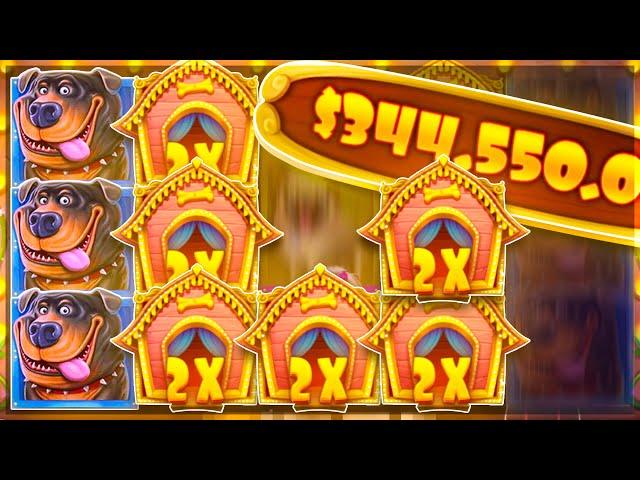 MOST INSANE DOG HOUSE BONUS!? $300,000+ WIN!?