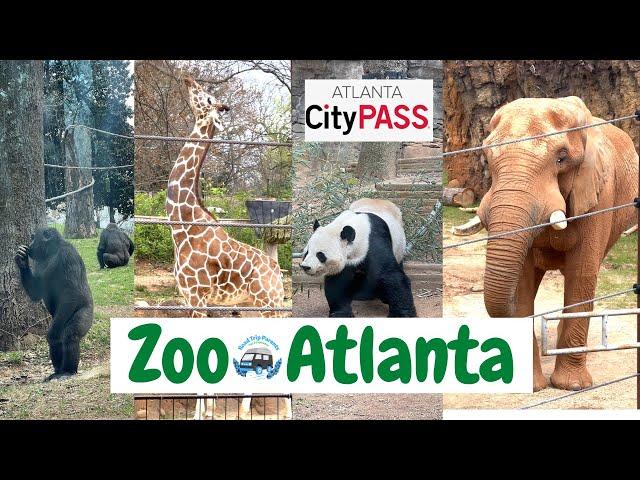 Zoo Atlanta 2022, Georgia | A short tour on one of the City Pass Atlanta options