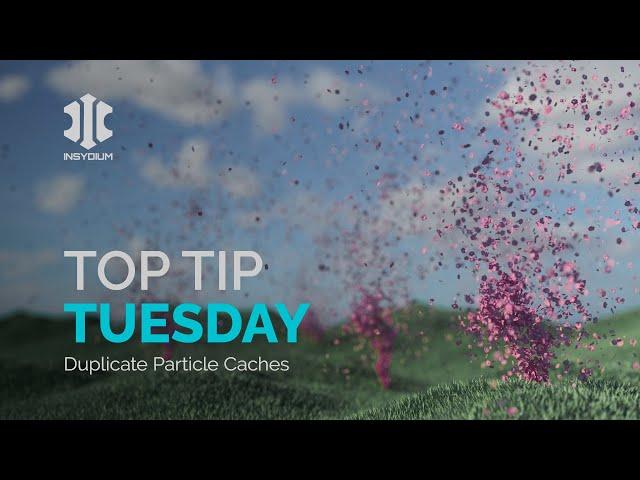 Top Tip Tuesday - Duplicate Particle Caches