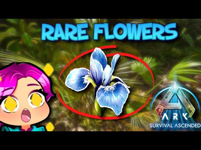 WHERE TO FIND RARE FLOWERS - ASA - THE ISLAND