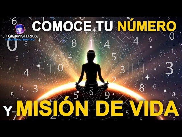 Descubre tu MISIÓN según TU NÚMERO DE VIDA ¿CUÁL ES EL TUYO?