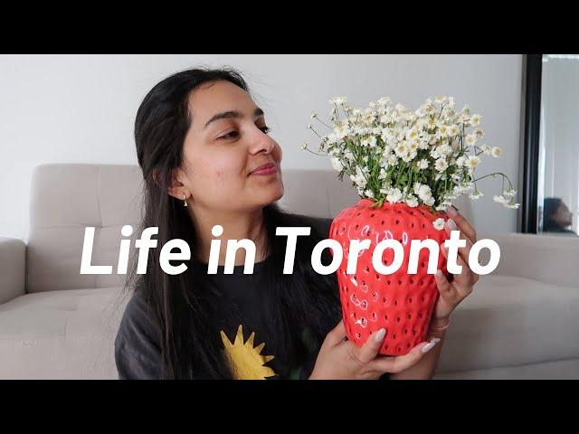 LIFE IN TORONTO : homebody diaries, Productive days, snack recipe & more