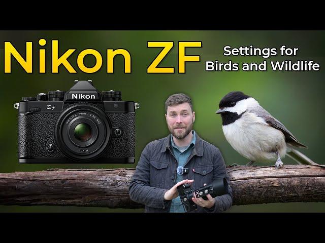 Nikon ZF - Settings for Wildlife and Bird Photography