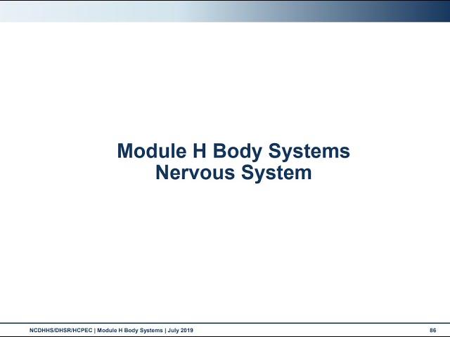 Module H: Body Systems - Nervous System