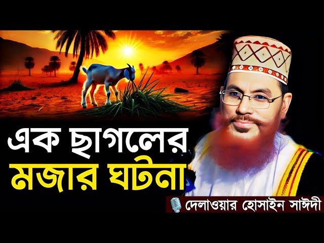 এক ছাগলের মজার ঘটনা | Delwar Hossain Sayeedi New Waz 2025 Saidi Waz Bangla Waz