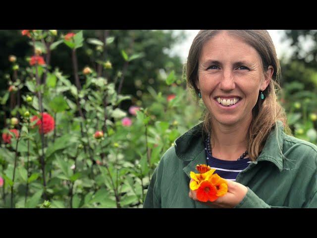 How to grow Edible flowers