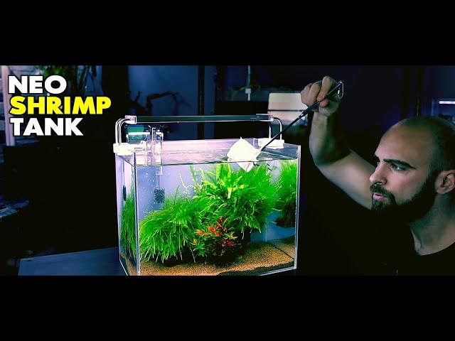 Aquascape Tutorial: Neocaridina Shrimp Tank (How To: Step By Step Planted Aquarium Guide)