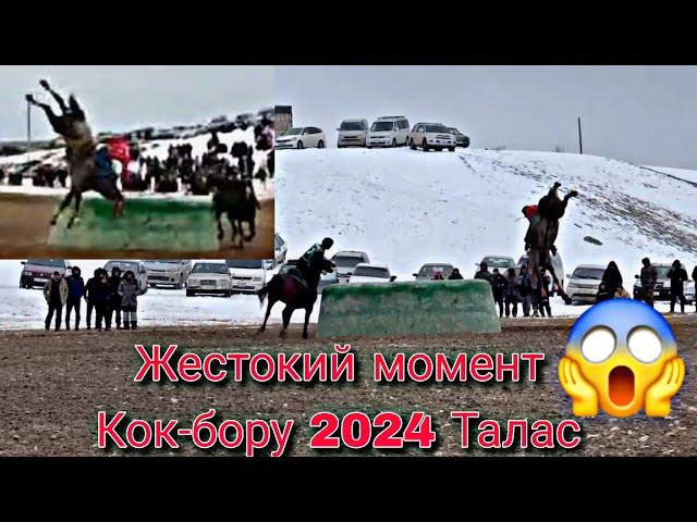 Жестокий момент Кок-бору 2024