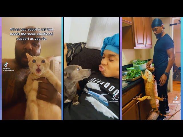 Black TikTok | Adorable Pets Compilation