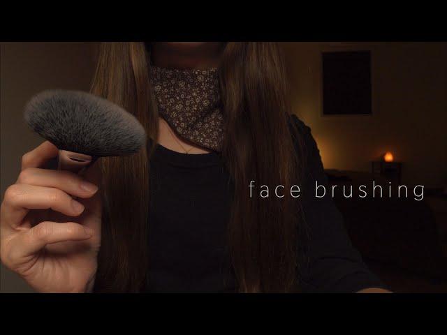 ASMR Face Brushing and Fluffy Mic (No Talking, Green Noise, 3H)