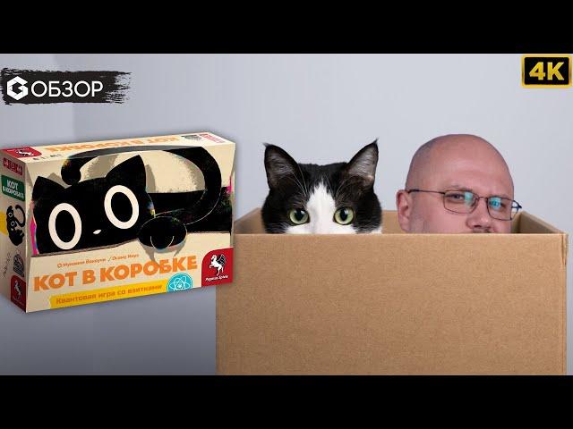 КОТ В КОРОБКЕ - ОБЗОР | настольная игра Cat in the Box | Geek Media 4K