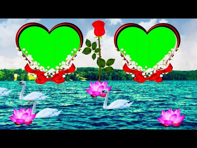 Backgrounds wedding green screen effects |effects backgrounds love effects flowers green screen