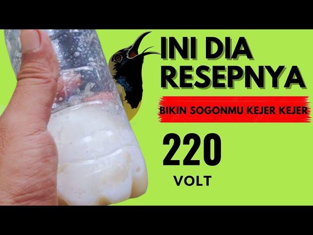 CARA MEMBUAT RACIKAN NEKTAR  SOGON ‼️ BAHAN ALAMI BIKIN SOGON GACOR NEMBAK NGLEPER