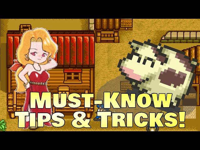 11 Useful Tips & Tricks for Harvest Moon on the SNES!