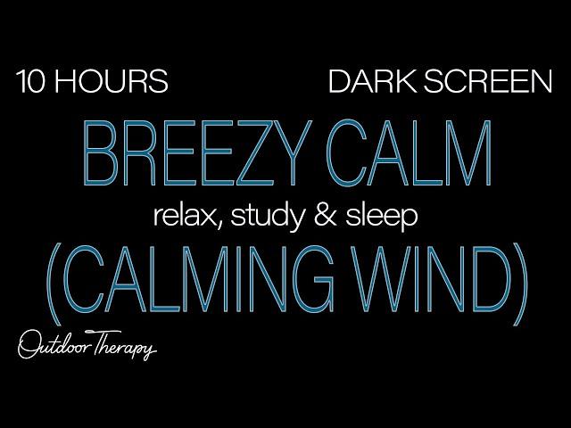 Breezy Calm | CALMING WIND Sounds for Sleeping| Relaxing| Studying| BLACK SCREEN | Real Storm Sounds