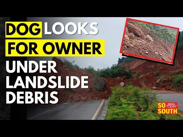 Dog Looks For Owners As Families Get Trapped Under Landslide Debris in Uttara Kannada | SoSouth