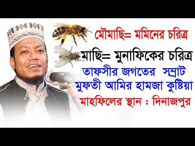 amir hamza new waz 2019 || মৌমাছি= মমিনের চরিত্র। মাছি= মুনাফিকের চরিত্র