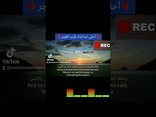 وتفقد الطير فقال مالى 2 #foryou #beautiful #quranrecitation #تلاوة_خاشعة ‎@Mohamed Amasha 